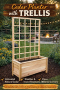Cedar Planter with Trellis